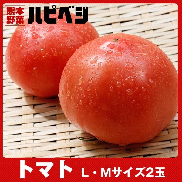 トマト【L・Mサイズ2玉〜3玉】同梱専用　※こちらの商品は野菜セット購入した方のみの同梱商品になりま...