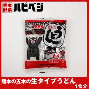 もっこす親父おすすめ 熊本の五木のうどん【210g(めん200g)】同梱専用　※こちらの商品は野菜セット購入した方のみの同梱商品になります。