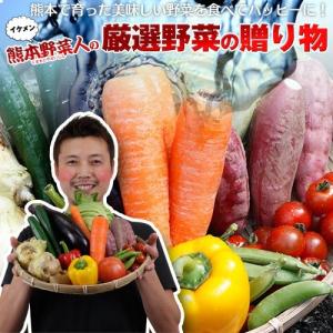 熊本農家がんばるばい　野菜セット 野菜詰め合わせ　イケメン野菜セット12種類プラスおまけ野菜付