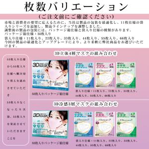 マスク 不織布 立体 55枚 53枚 44枚 ...の詳細画像3