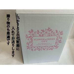 プリザーブドフラワー 仏花 一束 縁 えにし ...の詳細画像5