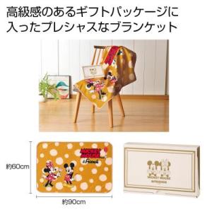 ブランケット キャラクター ギフト 粗品 ノベルティ 60枚単位