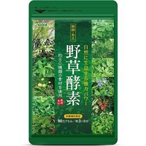 シードコムス 野草酵素 3か月分 90粒 - 最安値・価格比較