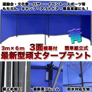 タープテント 横幕付き 大型テント 6x3m タープテント 大型 ワンタッチ 簡単設置日よけ アウトドア 自動車 車庫 ブラックフレーム テント3X6B