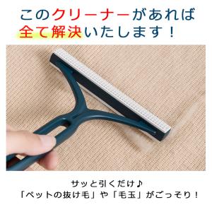 ペット ブラシ 抜け毛 クリーナー 犬 猫 グ...の詳細画像2