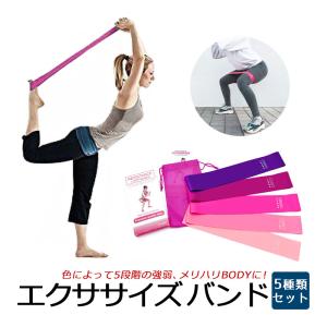 エクササイズバンド トレーニングチューブ フィットネス ゴムバンド 筋トレ ダイエット リハビリ 強度別 4本セット 収納ポーチの商品画像