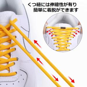 シューレース 結ばない 靴紐 靴ひも カプセル...の詳細画像3