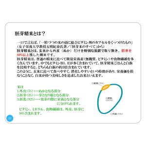 米10kg 長期保存約5年間 日本栄養大学推奨...の詳細画像2