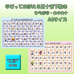 ポスト投函送料無料 登録商標 目指せ達筆　書き順がわかる なぞって覚える五十音下敷き ひらがな カタカナ両面 A4サイズ お受験 知育教材｜happy-clover