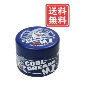 ファインコスメティックス 阪本高生堂 クールグリースG1 無香料 ファインコスメティックス 阪本高生堂 クールグリースG1 無香料