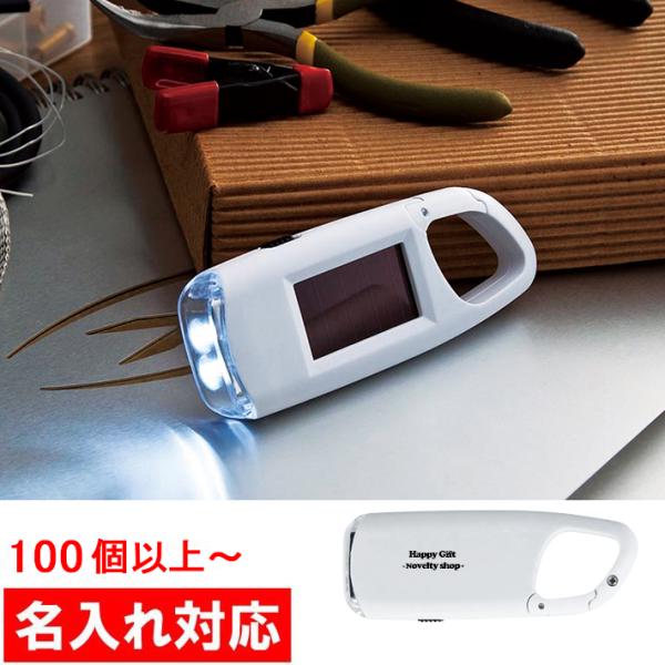 名入れ対応 100個からOK カラビナソーラーライト 販促グッズ/ノベルティ/粗品/景品(M220）