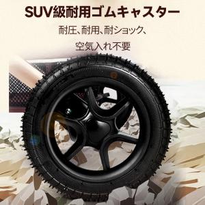 ベビーカー 折りたたみ コンパクト 蚊帳・防風...の詳細画像2