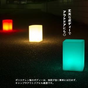 間接照明 フロアライト スタンドライト 〔 ル...の詳細画像4