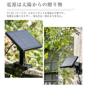 2個 ソーラーライト 屋外 明るい 〔 ガーデ...の詳細画像3