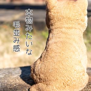 犬 置物 ガーデニング 雑貨 ガーデン オーナ...の詳細画像5