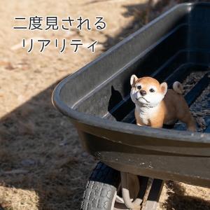 犬 置物 ガーデニング 雑貨 ガーデン オーナ...の詳細画像4