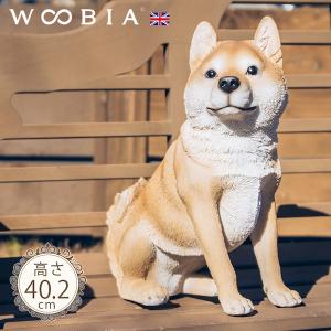 犬の置き物 楽天市場】犬の置物 チワワ ぶらさがりドッグ ライトブラウン