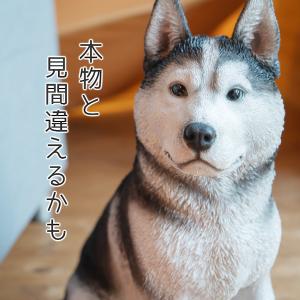 犬 置物 ガーデニング 雑貨 ガーデン オーナ...の詳細画像4