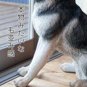 犬 置物 ガーデニング 雑貨 ガーデン オーナ...の詳細画像5