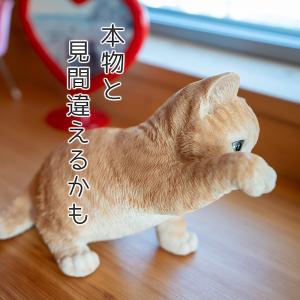 猫 置物 ガーデニング 雑貨 ガーデン オーナ...の詳細画像4