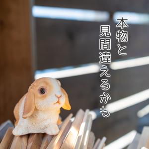 うさぎ 置物 ガーデニング 雑貨 ガーデン オ...の詳細画像4