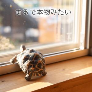 亀 置物 ガーデニング 雑貨 ガーデン オーナ...の詳細画像5