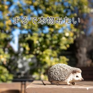 ハリネズミ 置物 ガーデニング 雑貨 ガーデン...の詳細画像5