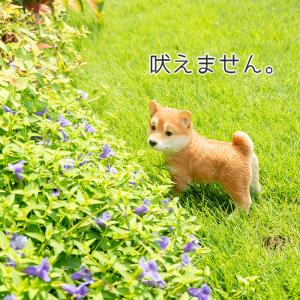 犬 置物 ガーデニング 雑貨 ガーデン オーナ...の詳細画像4