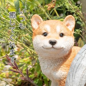 犬 置物 ガーデニング 雑貨 ガーデン オーナ...の詳細画像5