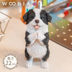 うつぶせ ボーダーコリー 75 x 43 36 cm (幅x奥x高) 本物そっくり