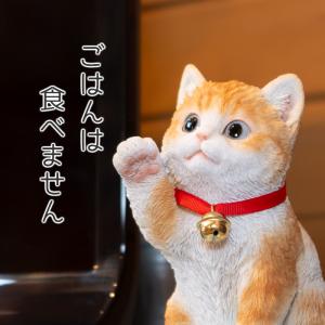猫 置物 ガーデニング 雑貨 ガーデン オーナ...の詳細画像5