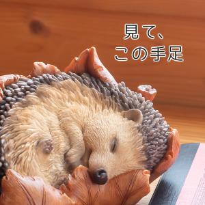 ハリネズミ 置物 ガーデニング 雑貨 ガーデン...の詳細画像5