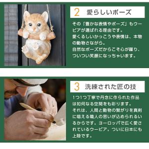 亀 置物 ガーデニング 雑貨 ガーデン オーナ...の詳細画像2