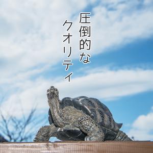 亀 置物 ガーデニング 雑貨 ガーデン オーナ...の詳細画像4