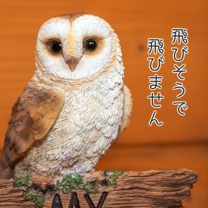 フクロウ 置物 ガーデニング 雑貨 ガーデン ...の詳細画像5