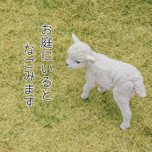 ひつじ 子羊 置物 ガーデニング 雑貨 ガーデ...の詳細画像4