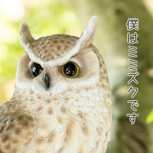 フクロウ 置物 ガーデニング 雑貨 ガーデン ...の詳細画像5