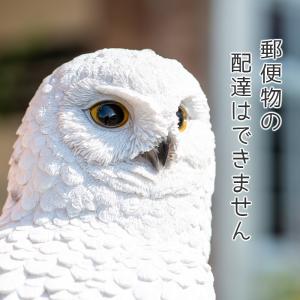フクロウ 置物 ガーデニング 雑貨 ガーデン ...の詳細画像5