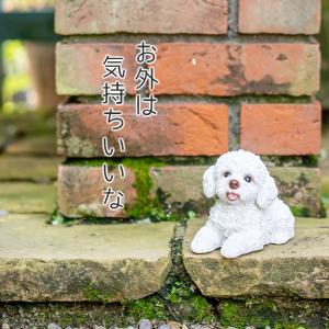 犬 置物 ガーデニング 雑貨 ガーデン オーナ...の詳細画像4
