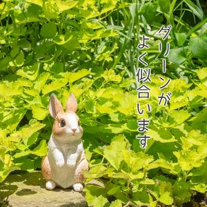 うさぎ 置物 ガーデニング 雑貨 ガーデン オ...の詳細画像4