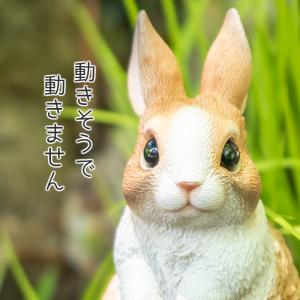 うさぎ 置物 ガーデニング 雑貨 ガーデン オ...の詳細画像5