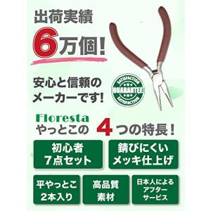 floresta やっとこ 初心者セット 7点...の詳細画像1