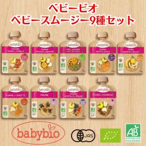 babybio（ベビービオ） スムージー 10種 各1個ずつ 離乳食 ベビー