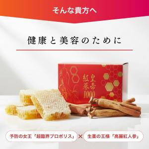 【プレゼント付】皇帝紅蔘1000 2箱×90粒...の詳細画像2