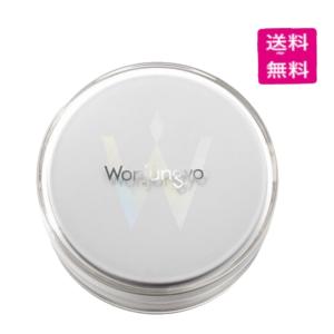 未使用 3種 ウォンジョンヨ フィクシングブラーパウダーN 01 02 03 Wonjungyo（ウォンジョンヨ） フィクシングブラーパウダー N 03