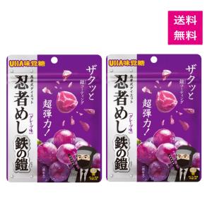 ヒトツブカンロ 【箱付き】ヒトツブカンロ グミッツェル BOX（12個入り