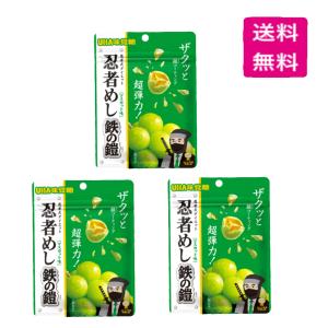 3種食べ比べセット】 3袋セット 忍者めし 金の鎧 鉄の鎧 マスカット味