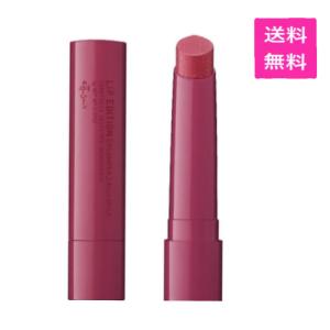 送料無料　エテュセ(Ettusais) リップエディション (プランパー) リッチスタイル 02 クリアバーガンディ ほてリップ スティック状唇用美容液 2g【限定】
