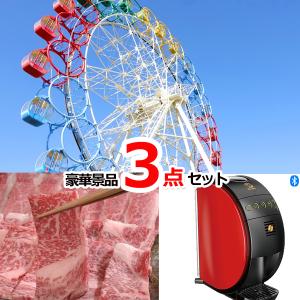 ポイント10倍 選べる！全国テーマパークチケット＆三大和牛食べ比べ＆ネスカフェバリスタ豪華３点セット  景品パネル＆引換券付き目録 14004｜happy-sanchoku