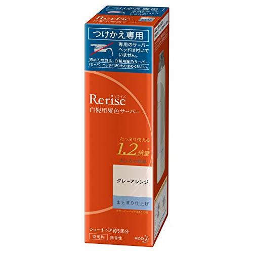 リライズ 白髪染め グレーアレンジ (自然なグレー) まとまり仕上げ 男女兼用 つけかえ用 190g